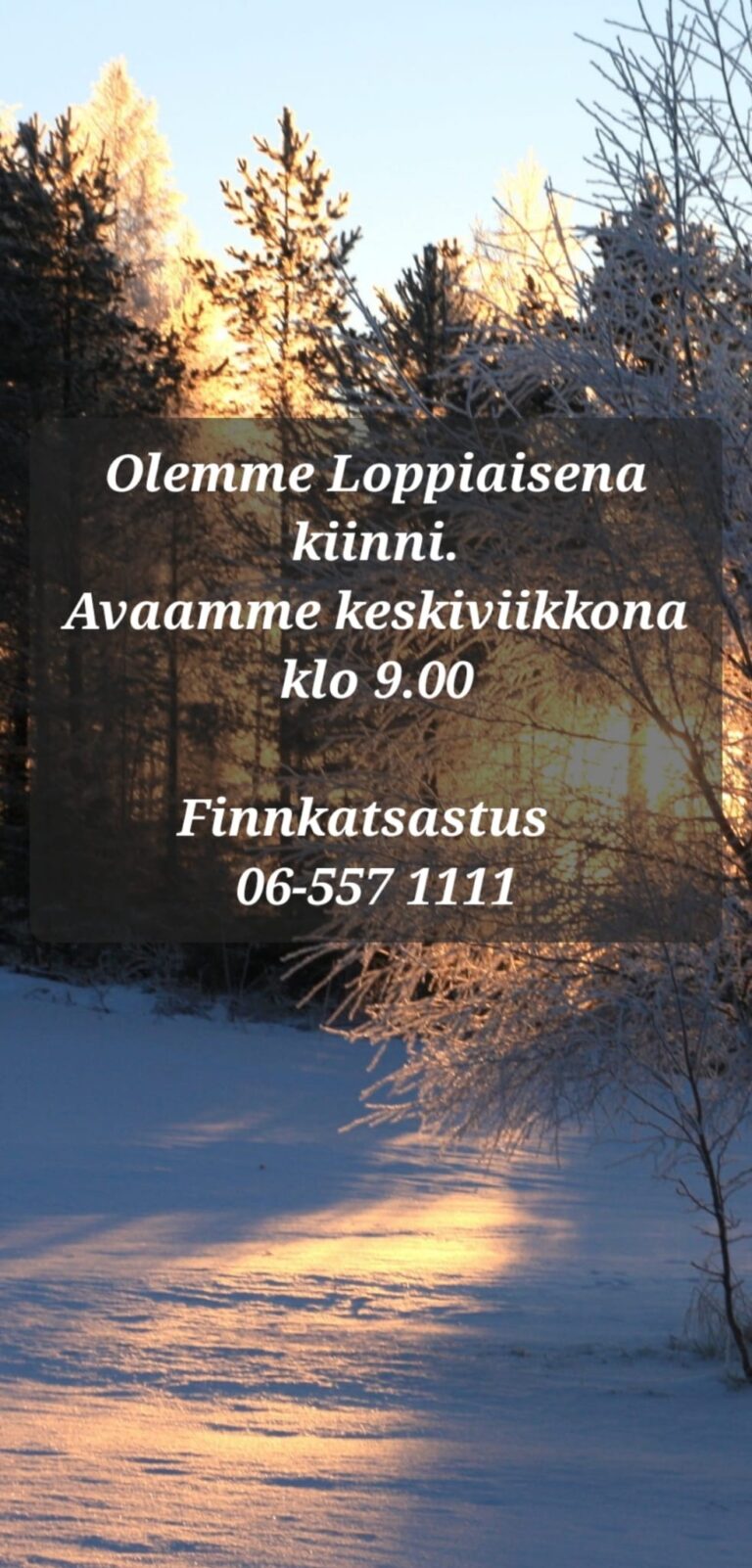 loppiainen 26